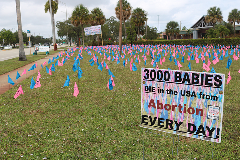 A total of 3,000 blue and pink flags presented a magnificent visual message as part of a Respect Life Month project by BLESS Ministry for Life at St. Ambrose Parish in Deerfield Beach. The flags, displayed throughout October on the parish grounds by busy Federal Highway, represented the 3,000 babies killed every day in America because of abortion procedures.