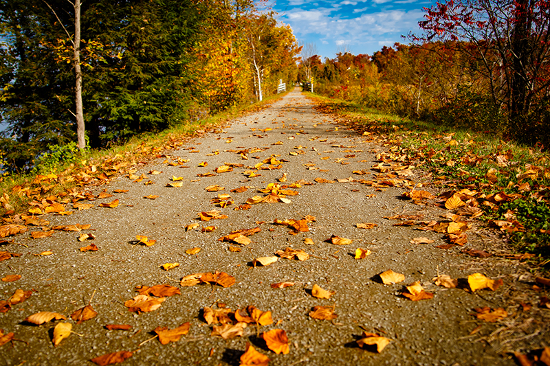 A mountain trail in Newport, Vermont Oct. 4, 2024.