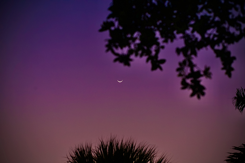 A night sky at Our Lady of Lourdes Parish in Miami, May 10, 2024.