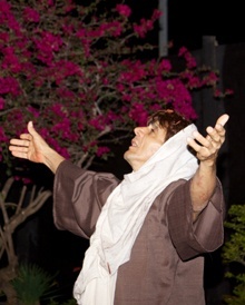 Jesus prays in the Garden of Gethsemane.