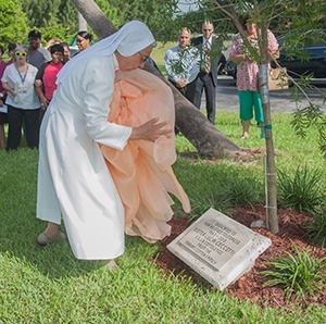 Sister Carla Valentini, of the Sisters of St. Joseph Benedict Cottolengo, unveils Sr. Lucia Ceccotti's dedicatory plaque. A tree was also planted in her honor.
