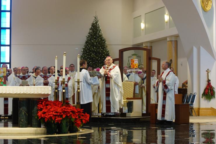 ADOM :: Bishop Gregory Parkes installed as bishop of St. Petersburg