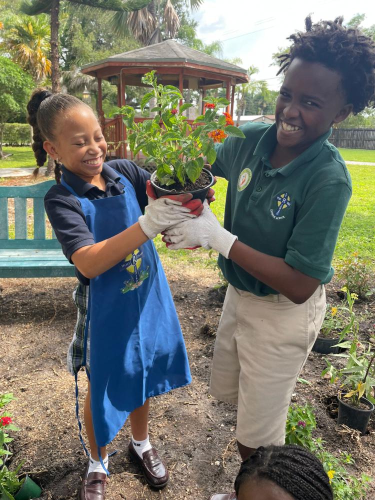 ADOM :: Clean water and butterflies at Holy Rosary St. Richard School